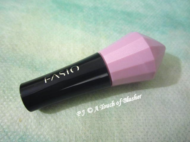 Fasio Liquid Eye Color WP in PU-6 Purple